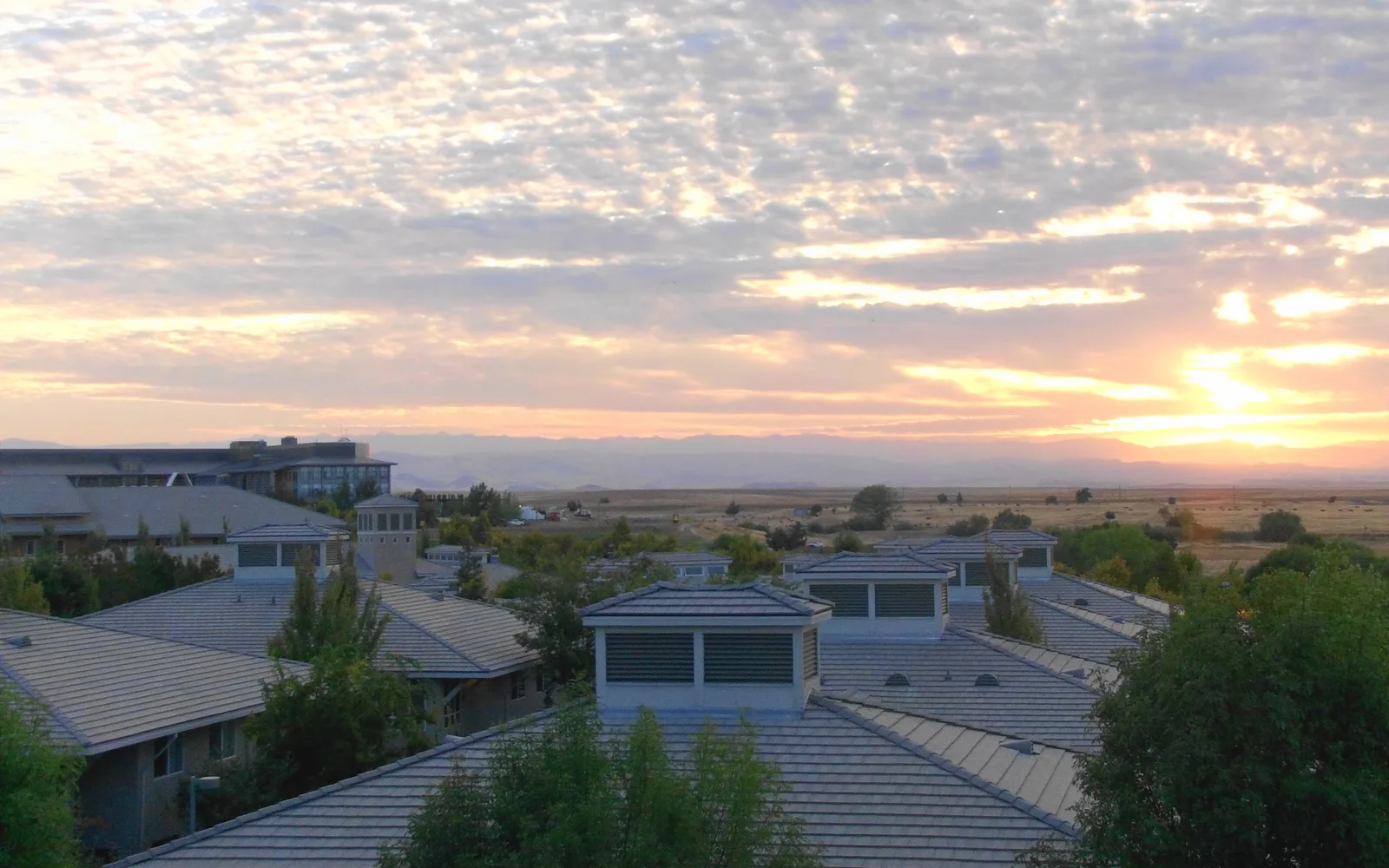 The UC Merced campus landscape with buildings among grassland and trees